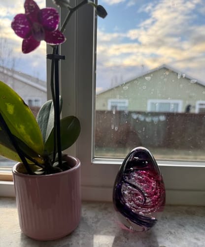 Customer photo review of Glimmer Egg with Cremation Ash