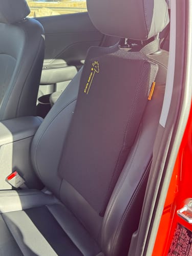 Customer photo review of Giraffe Cushion