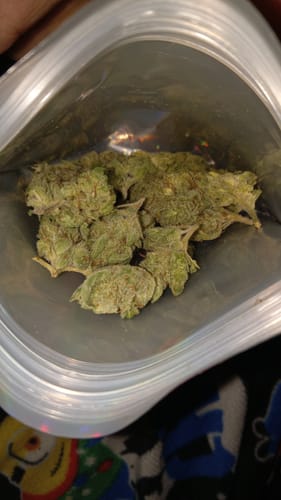 Customer photo review of Gorilla Glue - 4 Grams - Indica