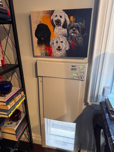 Customer photo review of Custom Pet Portrait - Abstract Style