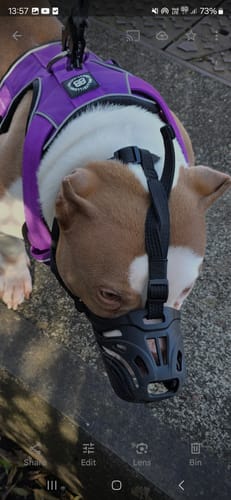 Karen L. review of Flexible Cage Muzzle - TPE Material - Legal Requirement | S-XL Breeds - Black image 1 out of 1