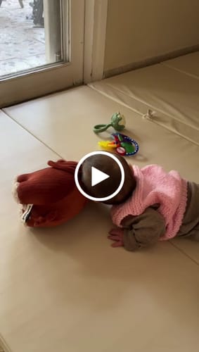 Customer video review of The Mini Elephant