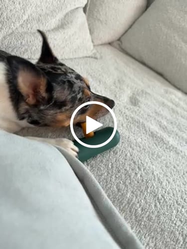 Customer video review of Mix Flavored (Strawberry, Banana, Pumpkin, & Mint): a Pack of 4 Sticks