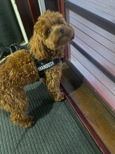 Customer photo review of Custom Name Patches