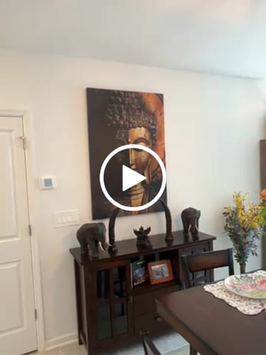 Customer video review of Harmony of Light and Shadow