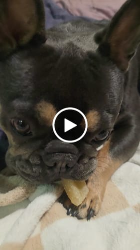 Customer video review of Coconut Yak Chews