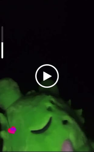 Customer video review of Rain World - Saint Slugpup Plush