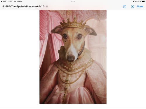 Customer photo review of The Spoiled Princess - Custom Pet Portrait