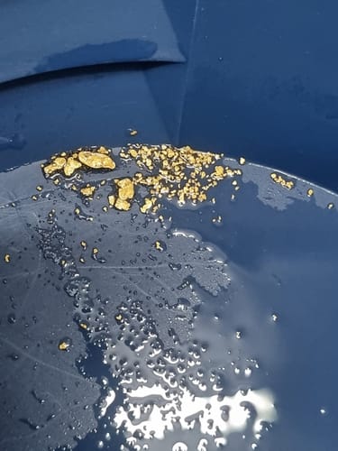 Customer photo review of Kiwi Gold Pay Dirt