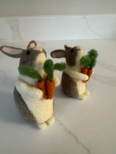 Sue K. review of Needle Felting Joy Subscription - With Supply Box image 1 out of 1