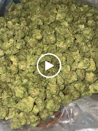 Customer video review of Jager Sour Diesel - Bulk Littles - Sativa