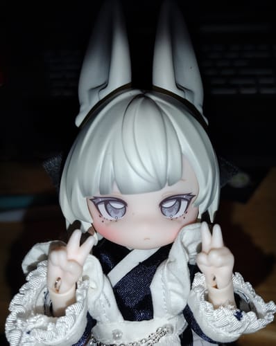Customer photo review of Moon Jumping Time Bunny Series 1/12 Action Figure BJD Blind Box