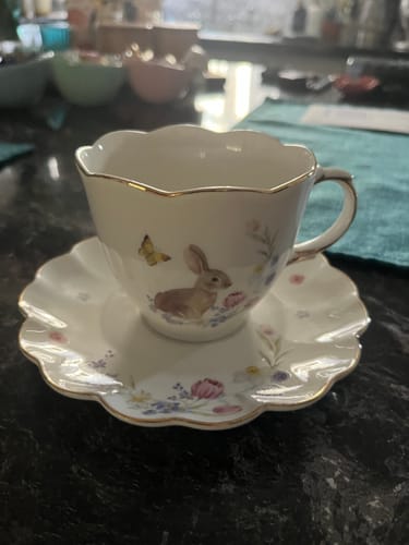 Customer photo review of Meadow Bunny Fine Porcelain Tea Cup and Saucer