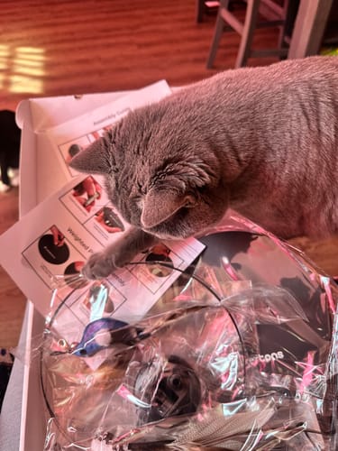 Customer photo review of Interactive Bird Simulation Cat Toy Hybrid Bundle