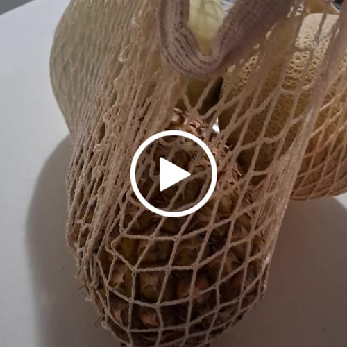 Vanessa K. review of Produce Bag image 1 out of 1