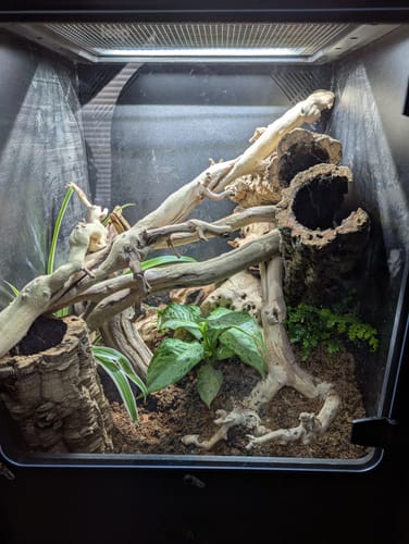 Customer photo review of XA-BIO-G 18Wx18Lx24H