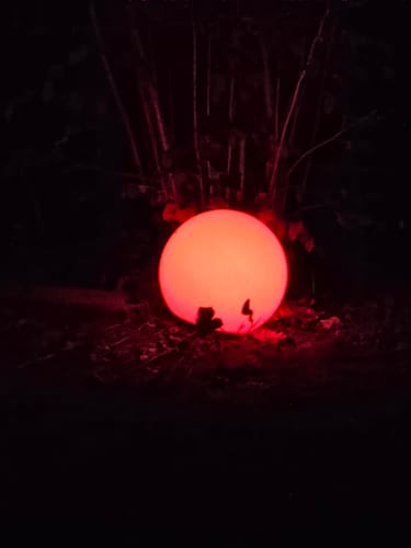 Customer photo review of Smarte LED-Leuchtkugel Calluna, 35 cm, white