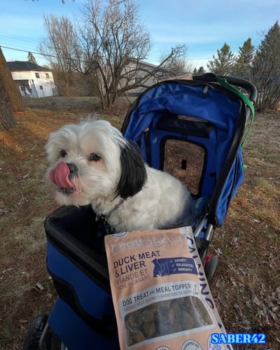 Customer photo review of Duck Calming Aid