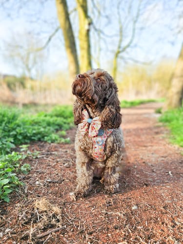 Tiegan review of Sailor Bow - Summer Vacay image 1 out of 5