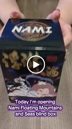 Customer video review of Nami Roaming Mountains and Seas Series Blind Box