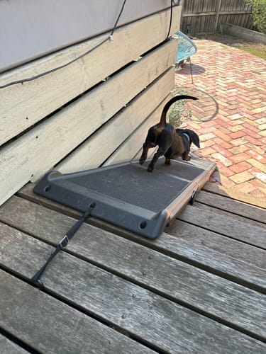 Customer photo review of PaWz Pet Ramp Dog Steps Stairs 75kg capacity