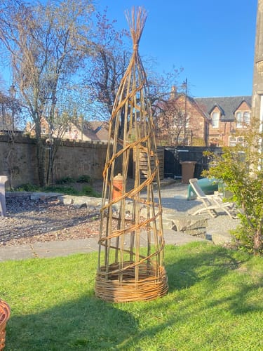 Customer photo review of The Willow Plant Support - Online Course and Kit