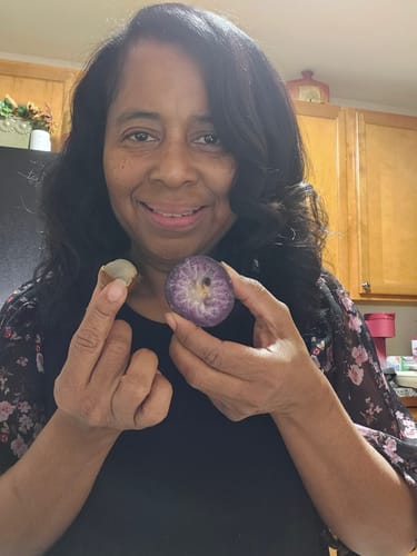 Customer photo review of Tropical Variety Box