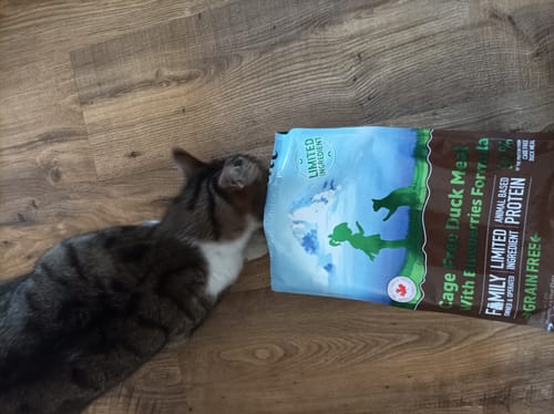Customer photo review of Abbonamento Gatto formula Pollo e Mirtilli