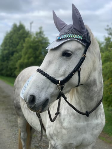 Customer photo review of CAMPAIGN- Odessa Bonita Multi bridle - MASEGO bit to bitless system