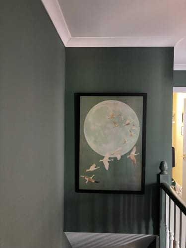 Customer photo review of Japanese Cranes Print