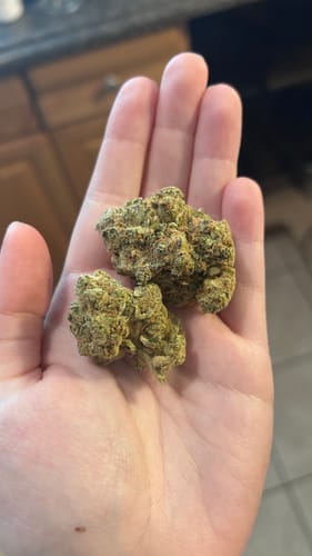 Customer photo review of Dealer's Choice