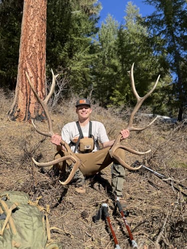 Customer photo review of Canyon Shed - Gray T