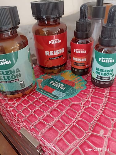 Customer photo review of Melena de León Cápsulas + Gotas - Extracto Ultra Concentrado