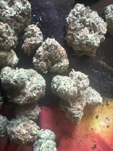 Customer photo review of London Pound Cake THCA Flower