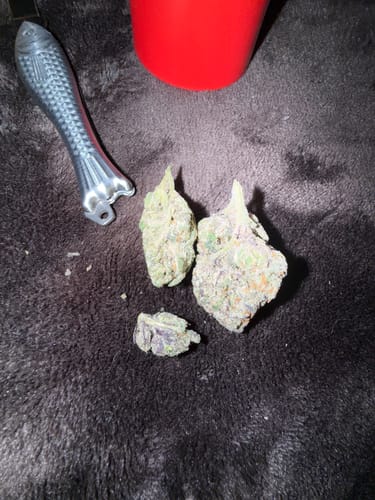 Customer photo review of Airhead Xtremes