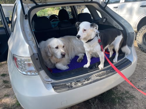 Customer photo review of for Subaru Impreza 2007-2011, Premium Car Floor Mats