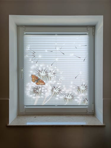 Customer photo review of Plissee Motiv "Pusteblume Schmetterling"