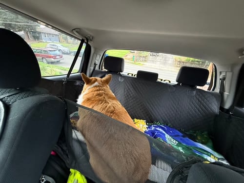 Customer photo review of NEW Waterproof Hard Bottom Car & Truck Seat Foldable Hammock Cover With Storage Pockets, Side Flaps, Headrest Straps, Seat Anchors, & Mesh Window (+FREE SAFETY BELT!)