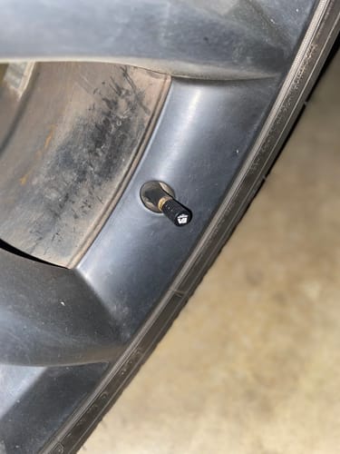 Customer photo review of VALVE STEM CAPS