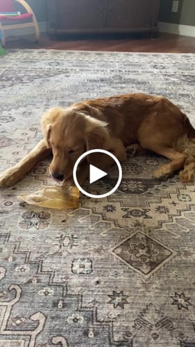 Customer video review of JUMBO Easter Egg 1 LB Of Single-Ingredient Chews