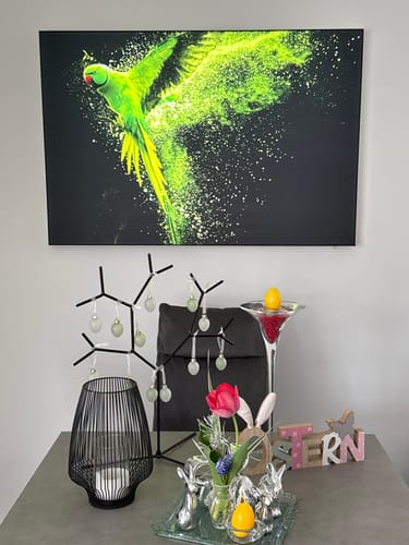 Customer photo review of Wechselmotiv | Papagei - grüne Farbexplosion | Querformat