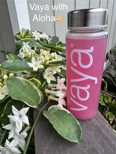 Customer photo review of 15 Pack | Sugar Free Electrolyte Powder | Sample Pack