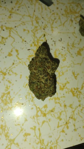 Customer photo review of Illemonati Indoor THCA Flower