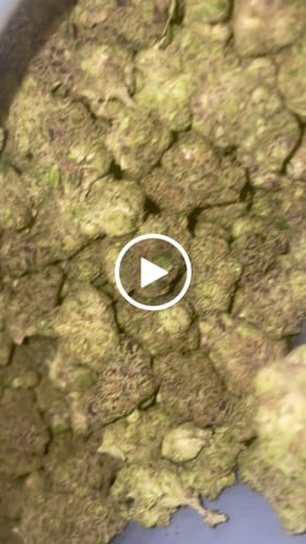 Customer video review of Tangerine Dream THCA Trim Ounce (28g)