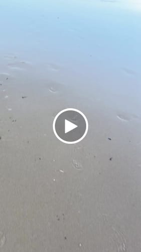 Customer video review of Maintien de compression V2 pour Genoux et Jambes