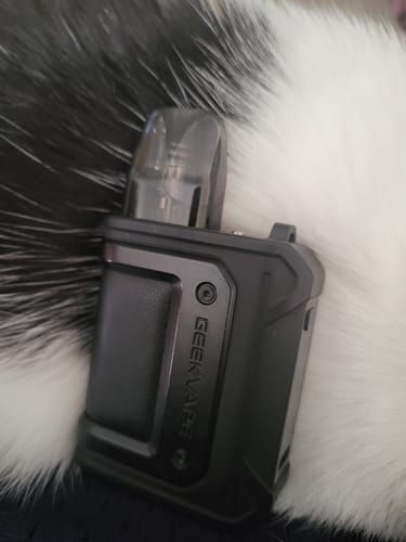 Customer photo review of Geekvape Aegis Hero Q 30W Pod Kit