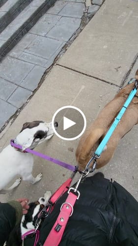 Customer video review of Sidekick