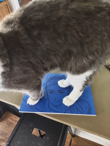 Customer photo review of Alien Stage Official Artbook (Separate Shipping Cost)