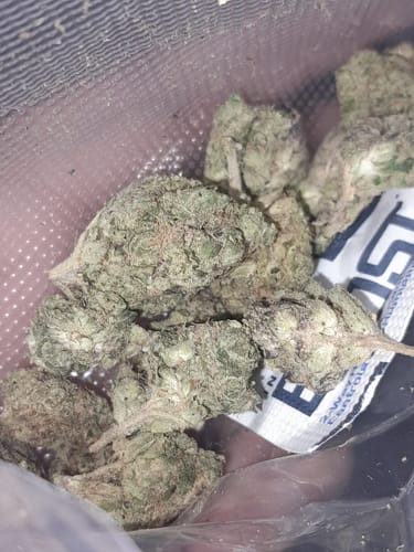 Customer photo review of Cherry Gelato