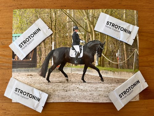 Customer photo review of Strotonin Horse Support